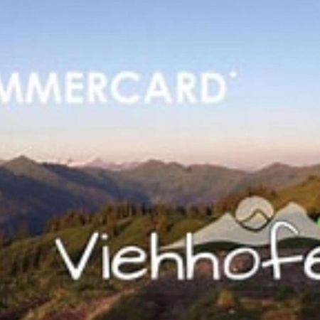 Apartament Bichl Viehofen Saalbach-Hinterglemm Zewnętrze zdjęcie