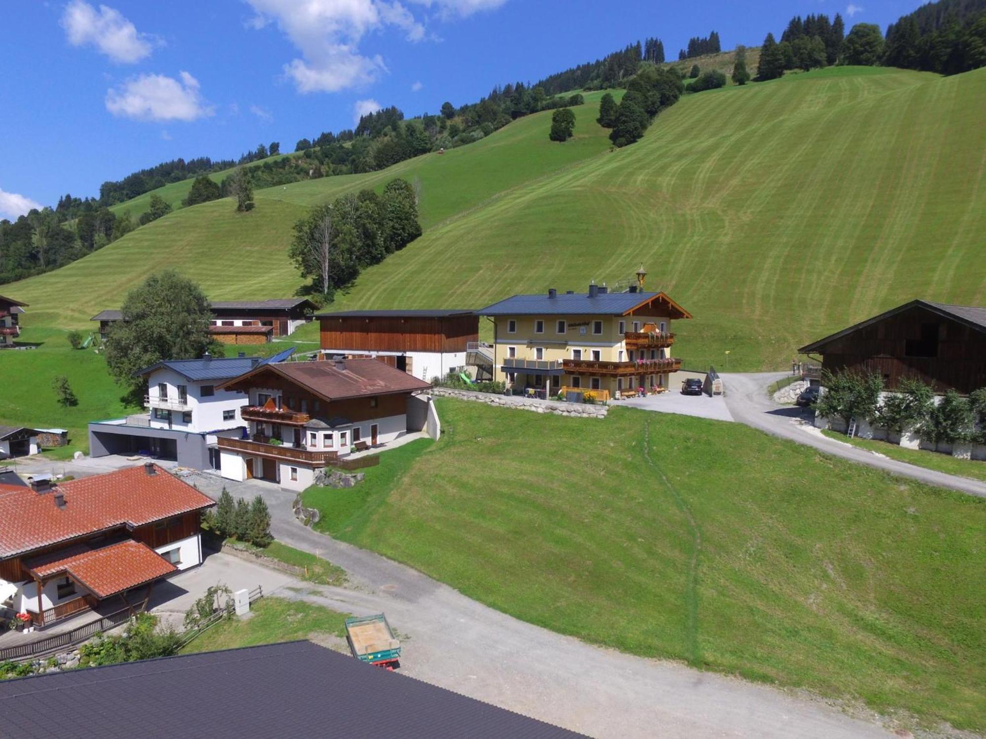 Apartament Bichl Viehofen Saalbach-Hinterglemm Zewnętrze zdjęcie